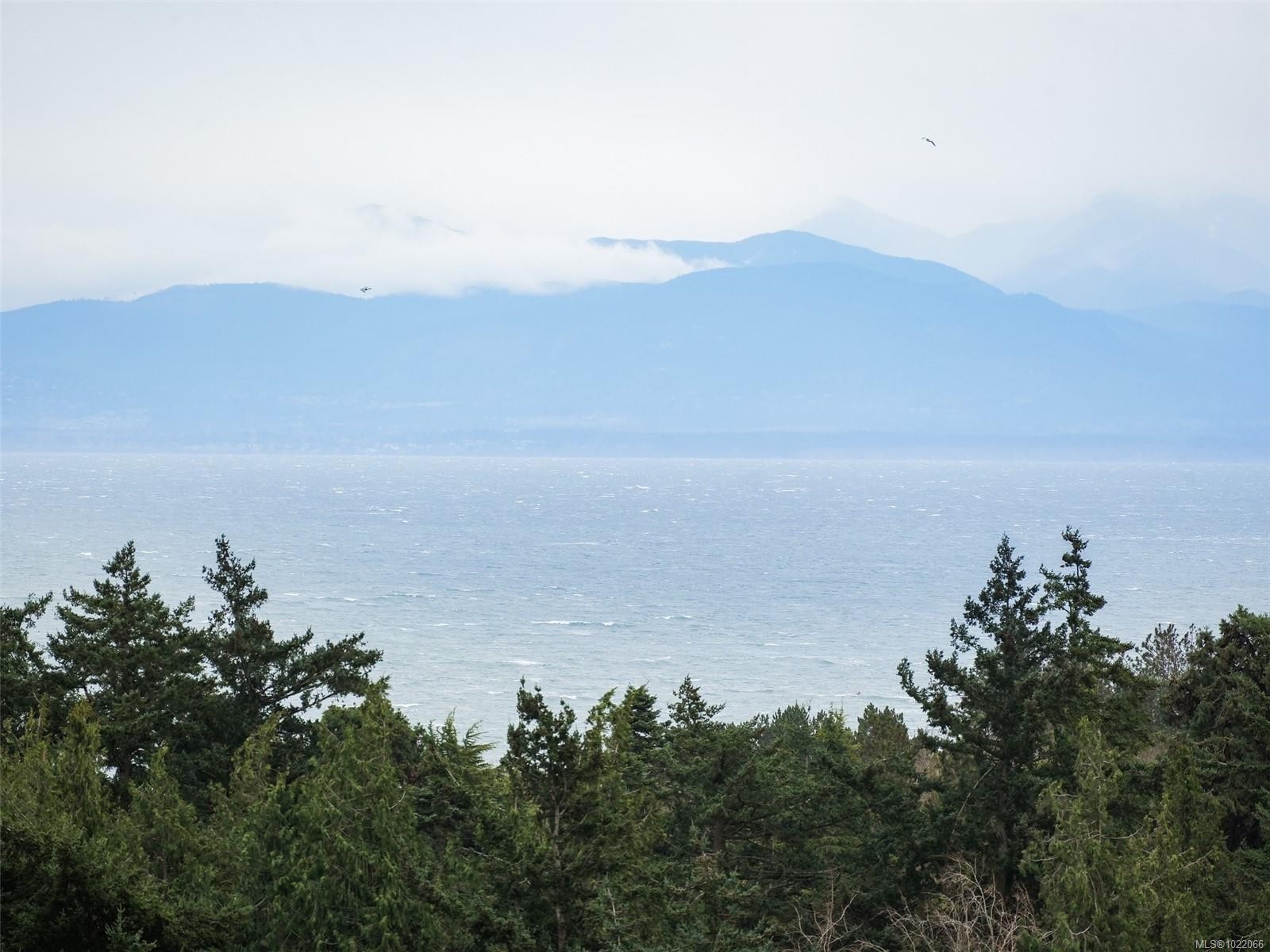 2006-647 Michigan St, Victoria, BC - Outdoor With Body Of Water With View