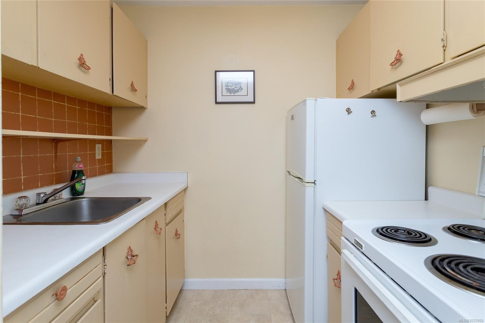 1608-647 Michigan St, Victoria, BC - Indoor Photo Showing Kitchen