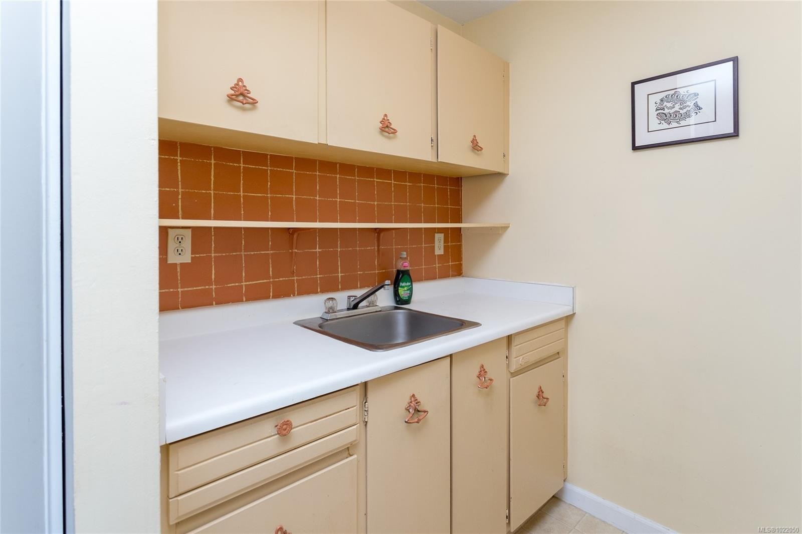 1608-647 Michigan St, Victoria, BC - Indoor Photo Showing Kitchen