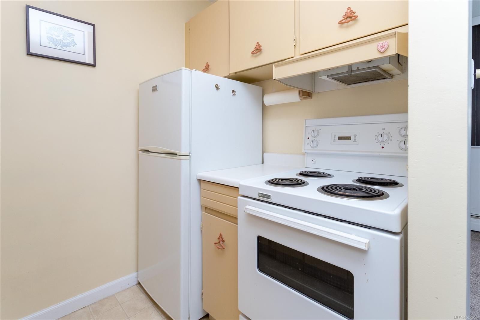 1608-647 Michigan St, Victoria, BC - Indoor Photo Showing Kitchen