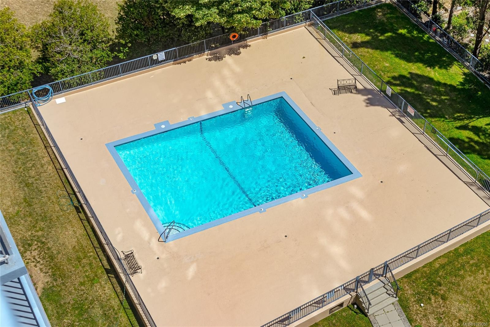 1608-647 Michigan St, Victoria, BC - Outdoor With In Ground Pool