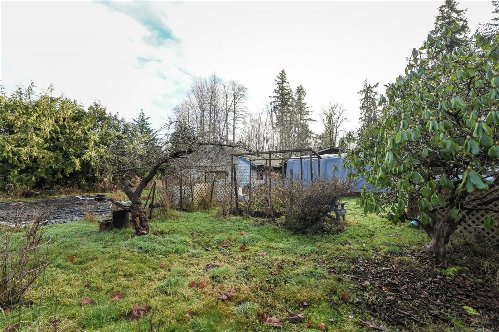 2795 Macaulay Rd, Black Creek, BC