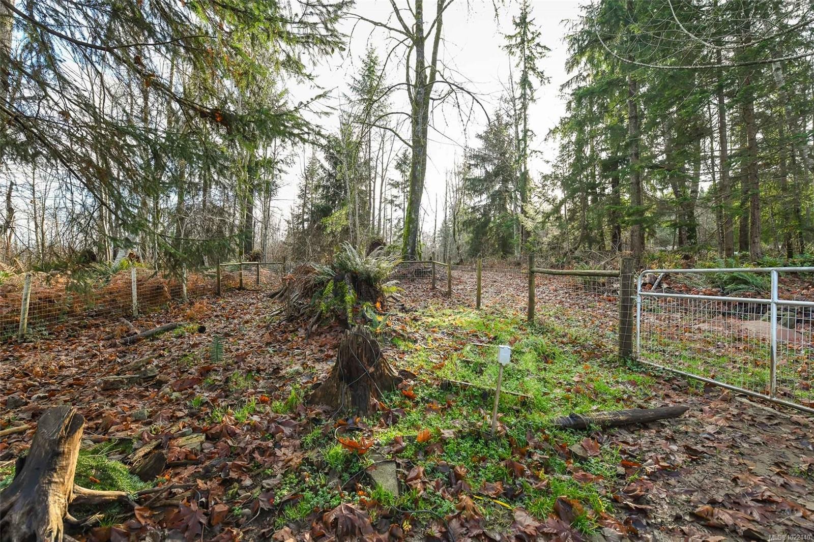 2795 Macaulay Rd, Black Creek, BC