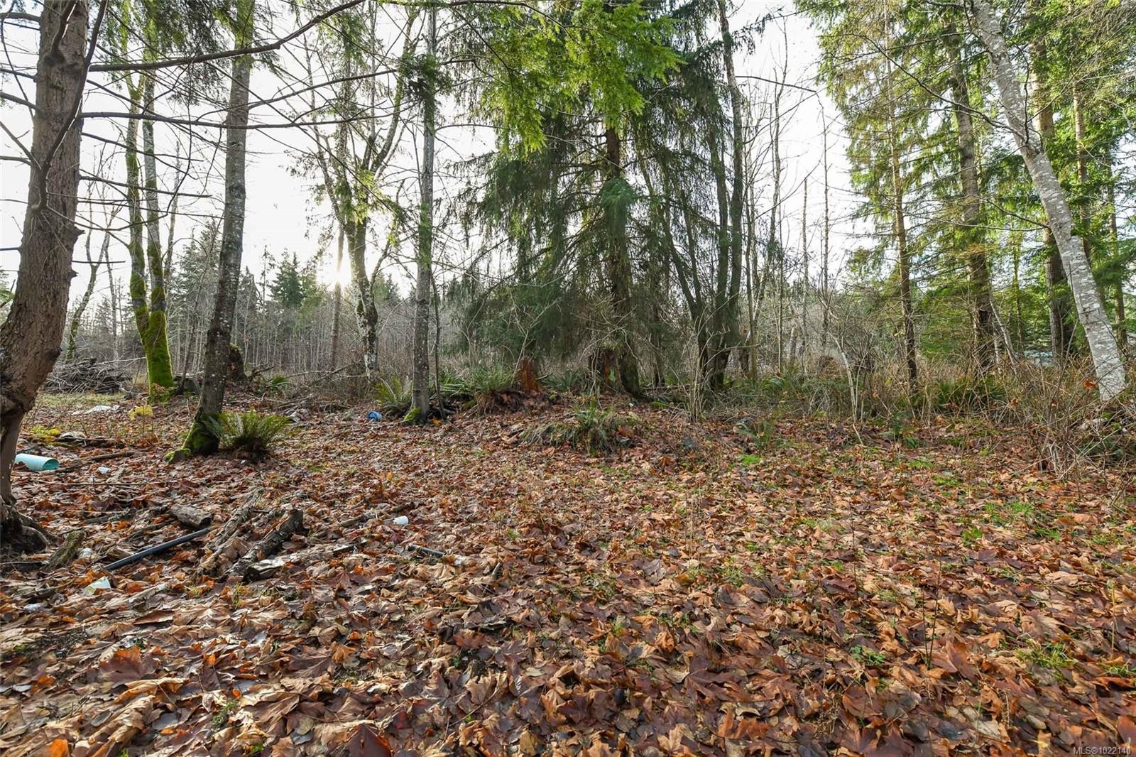 2795 Macaulay Rd, Black Creek, BC