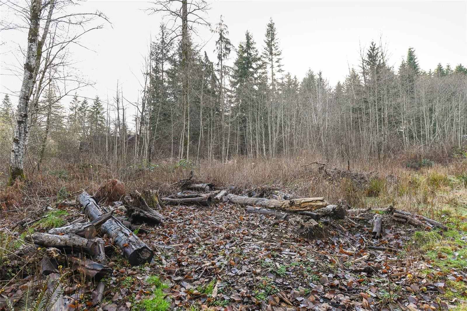 2795 Macaulay Rd, Black Creek, BC