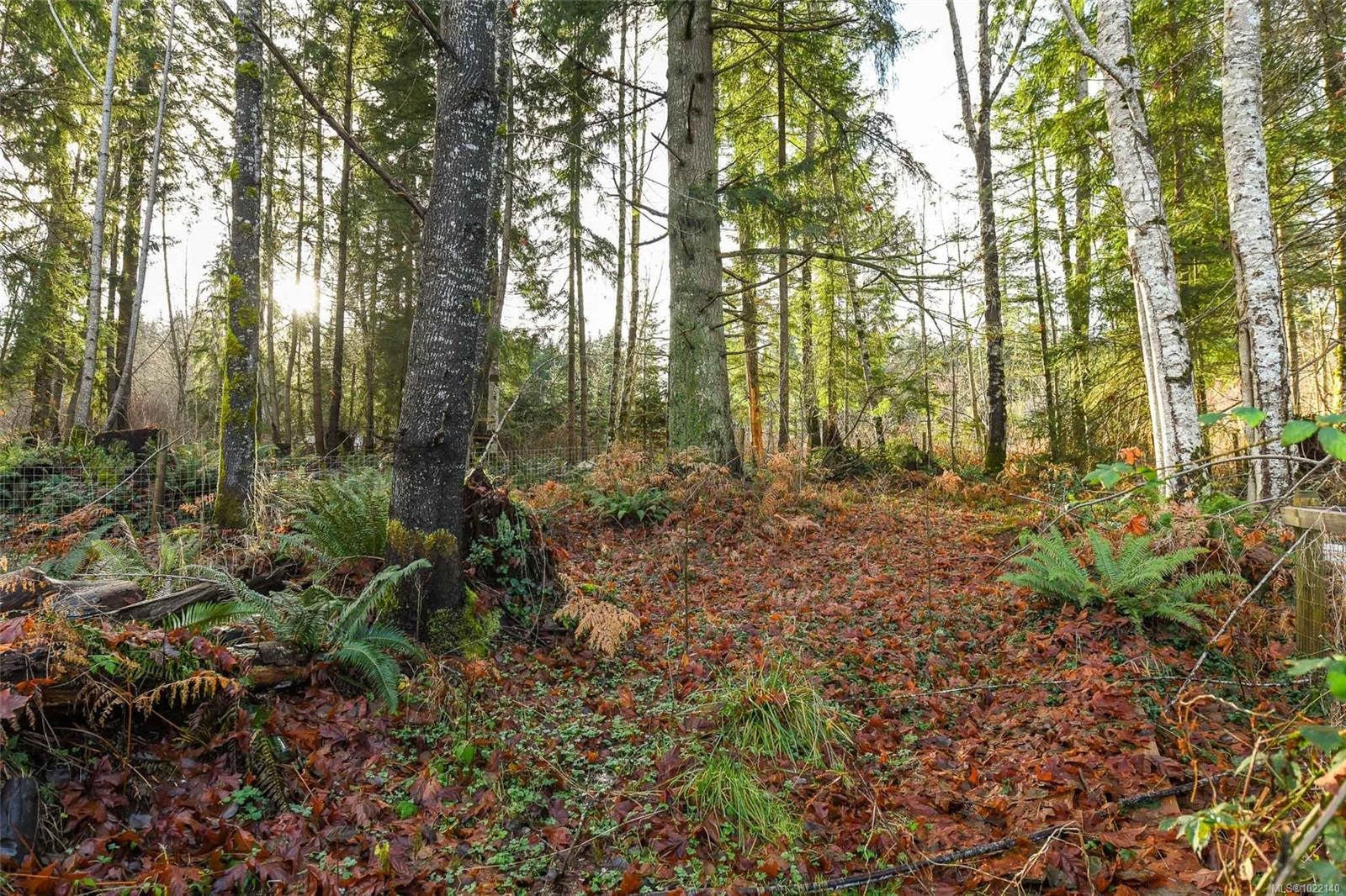 2795 Macaulay Rd, Black Creek, BC