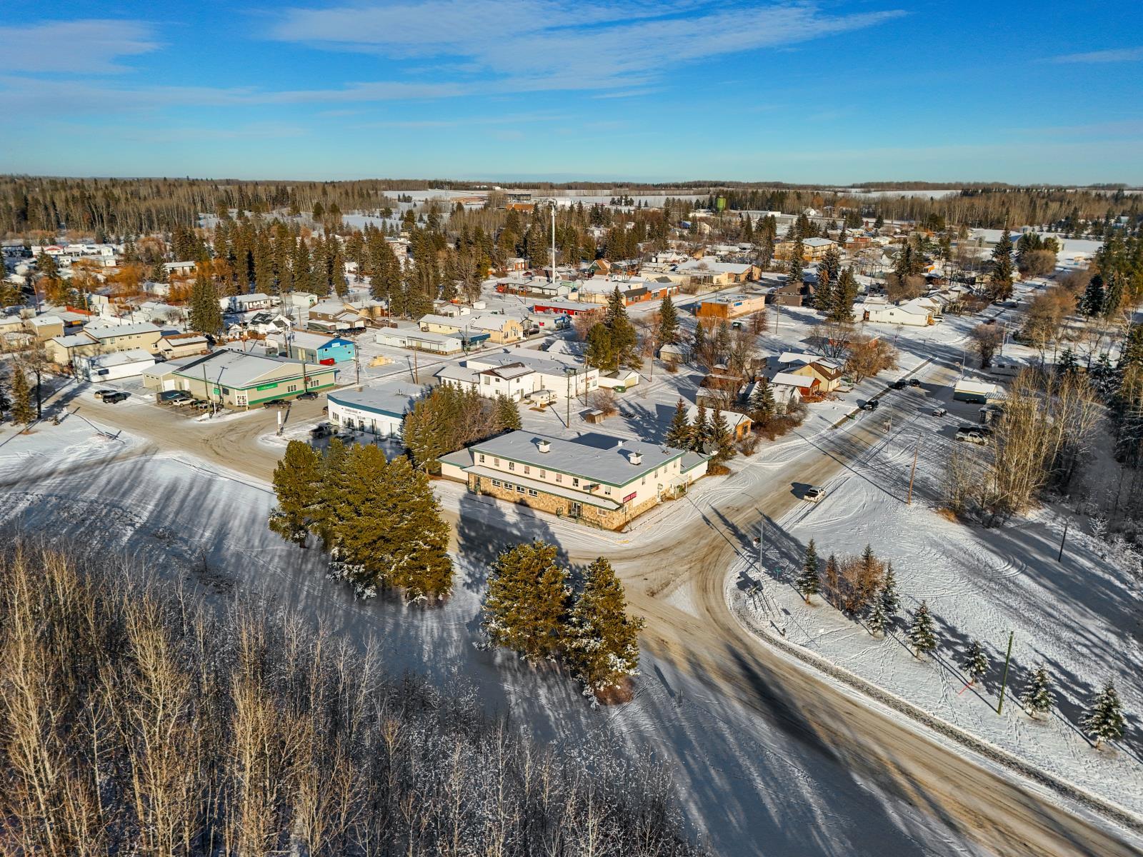 4907 51 St, Breton, AB