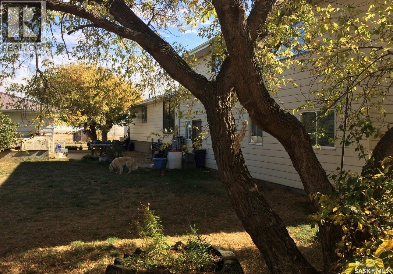 Kippen Farm, Shamrock Rm No. 134, SK - Outdoor