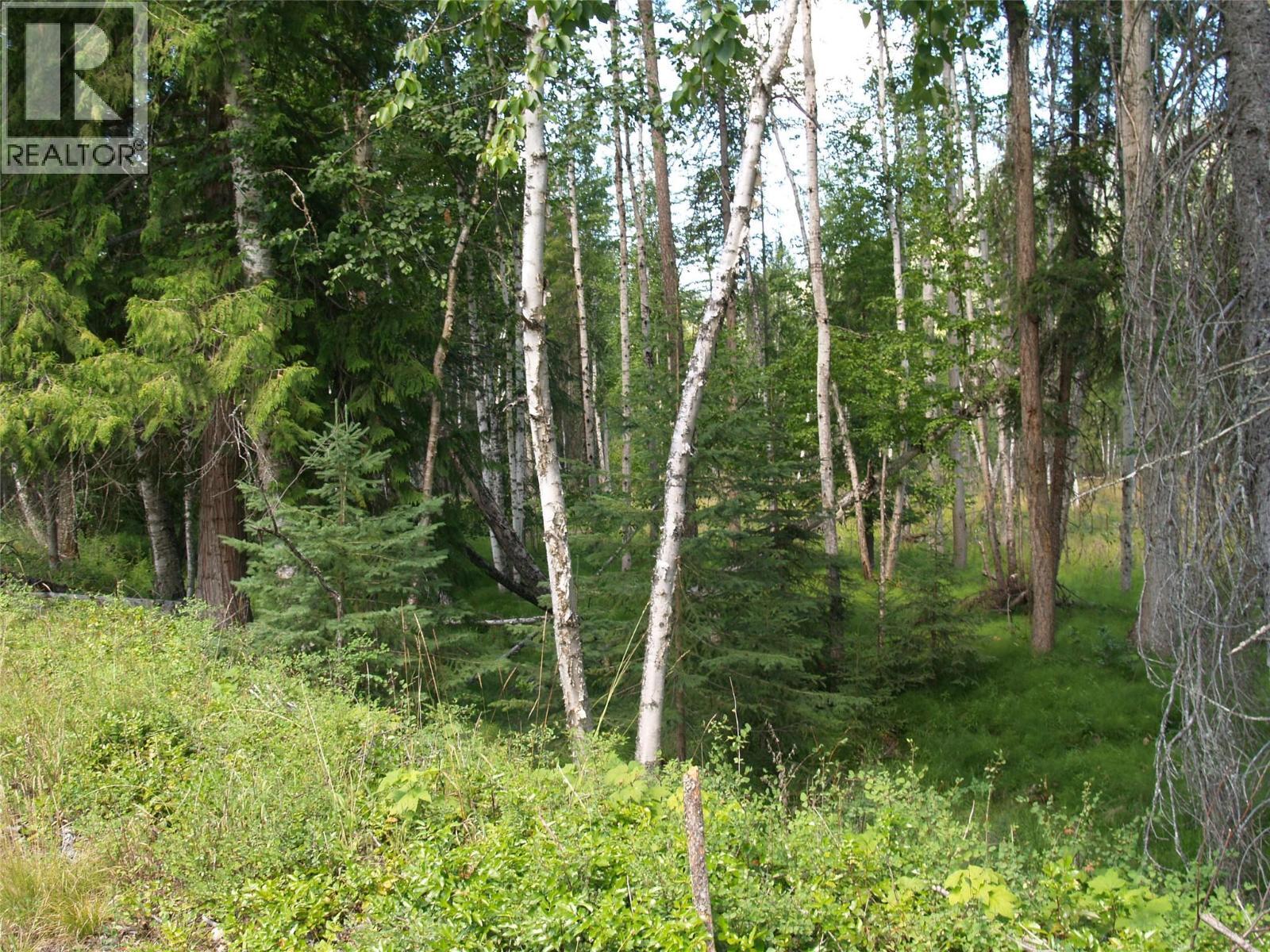 River Stone Road Lot# Lot D, Cherryville, BC