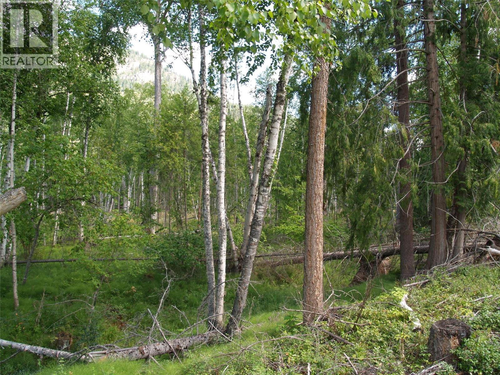 River Stone Road Lot# Lot D, Cherryville, BC