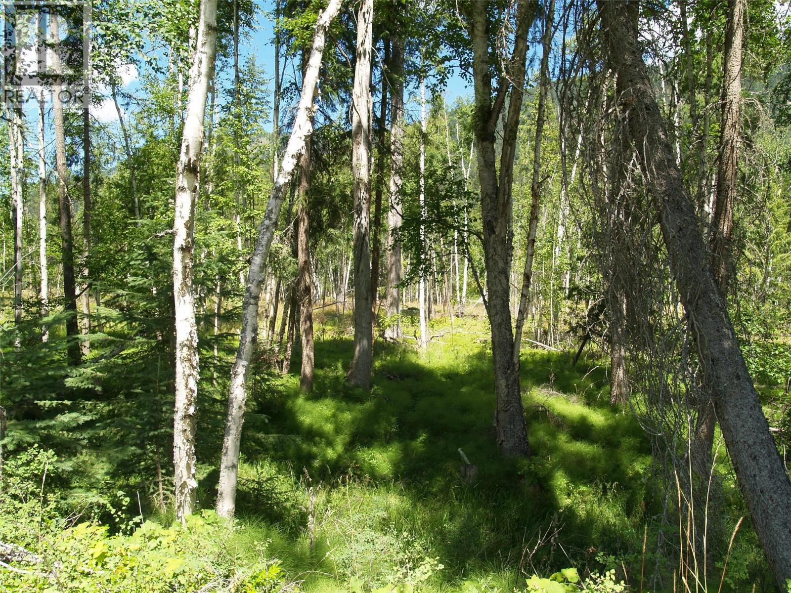 River Stone Road Lot# Lot D, Cherryville, BC