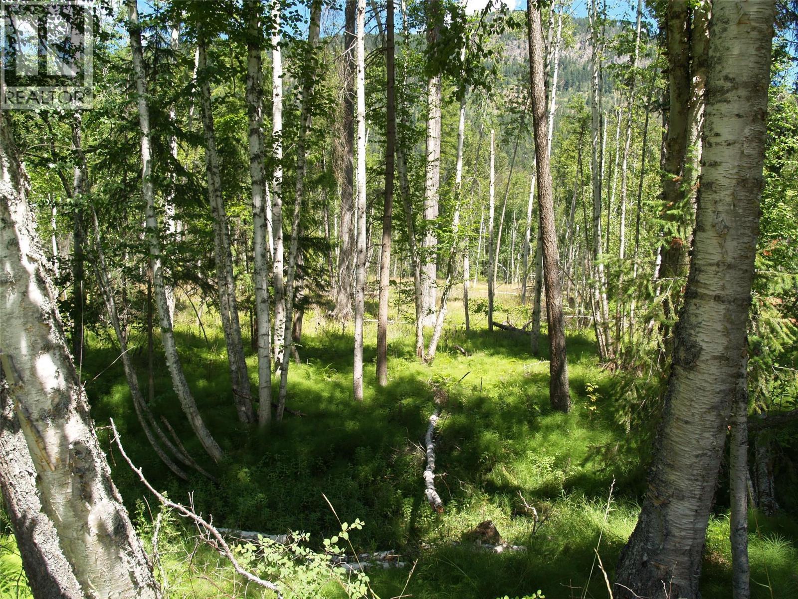 River Stone Road Lot# Lot D, Cherryville, BC