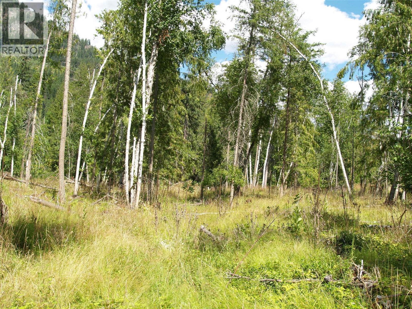 River Stone Road Lot# Lot D, Cherryville, BC