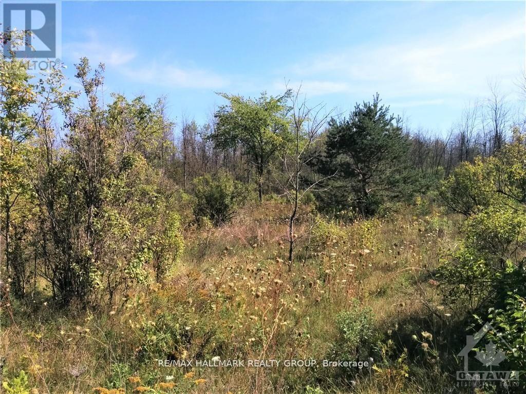 49 Rideau Avenue N, Montague, ON