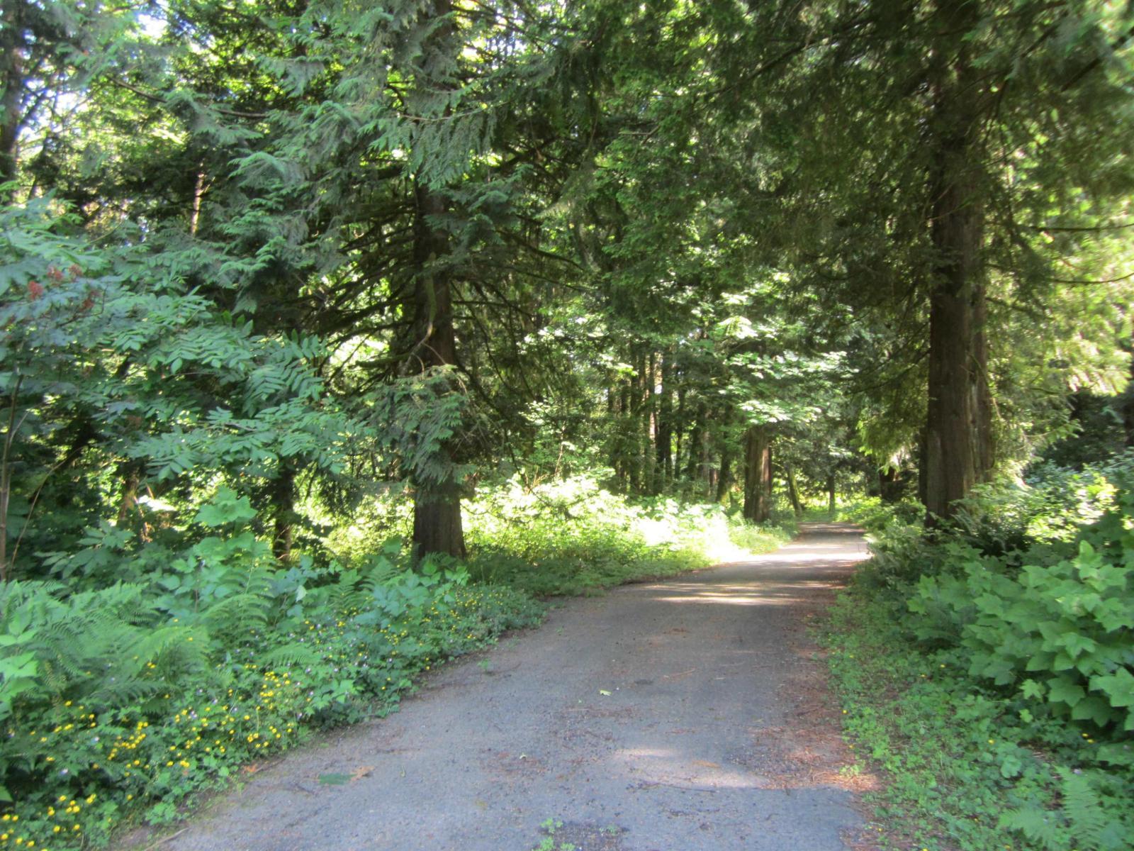 11121 Barnes Road, Mission, BC - Outdoor