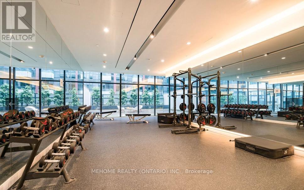 301W - 27 Bathurst Street, Toronto, ON - Indoor Photo Showing Gym Room