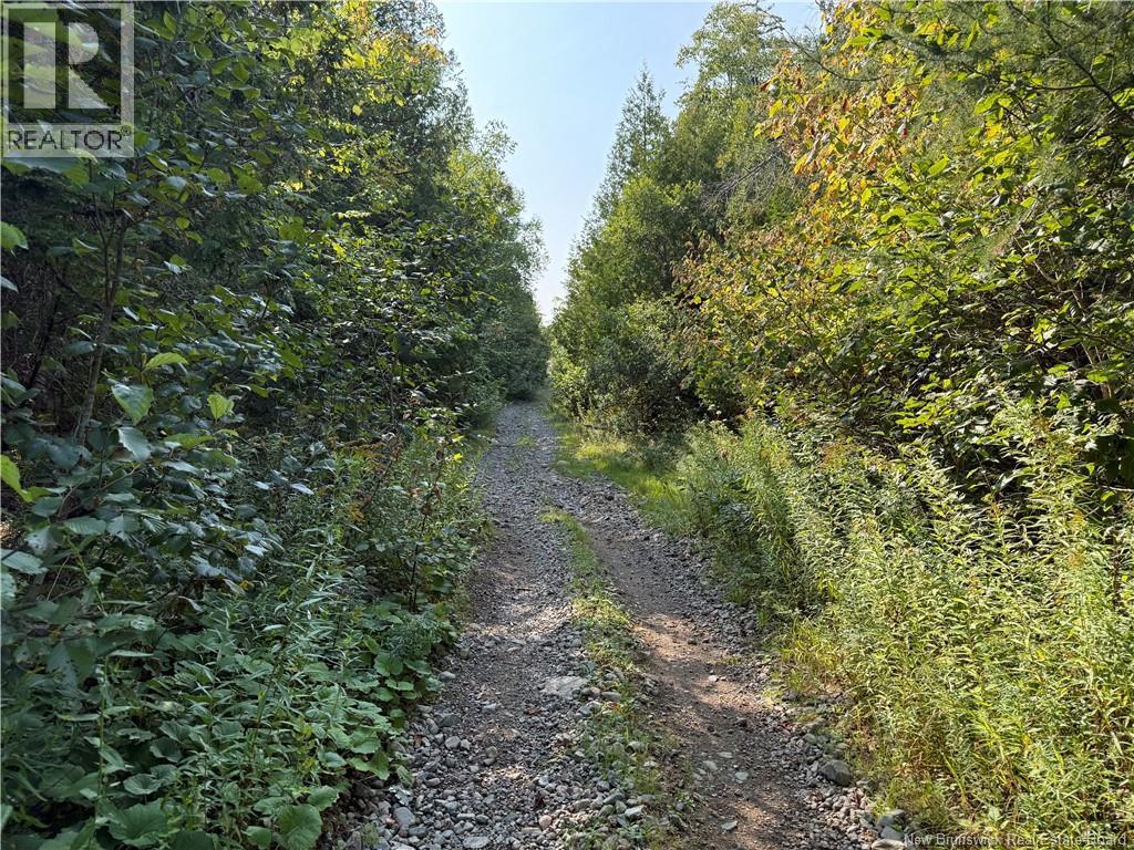 Backland Road, Saint John, NB