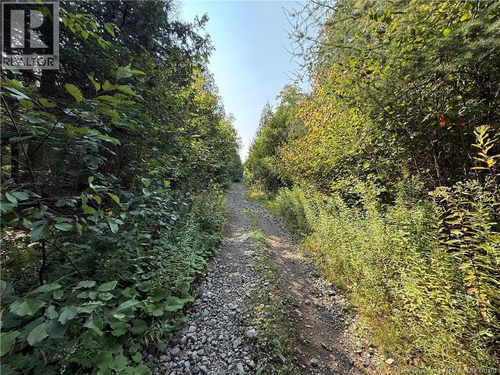 Backland Road, Saint John, NB