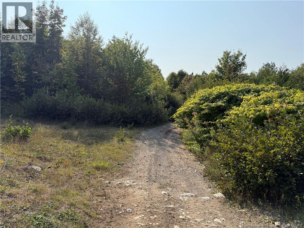 Backland Road, Saint John, NB