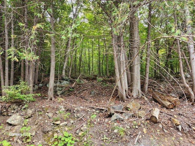 Wooded area - 1770 Mtée Paiement, Val-Des-Monts, QC