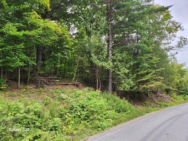 Wooded area - 1770 Mtée Paiement, Val-Des-Monts, QC