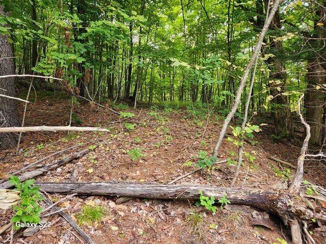 Wooded area - 1770 Mtée Paiement, Val-Des-Monts, QC