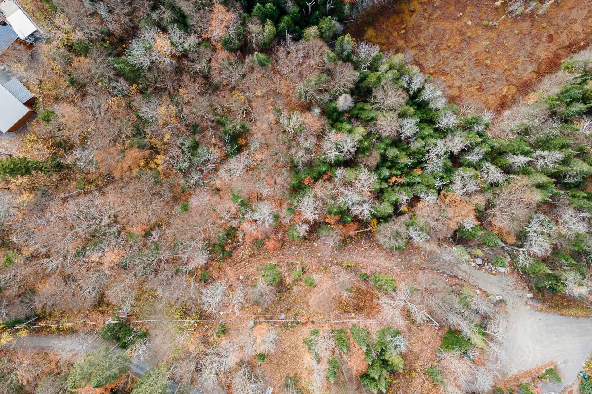 Lot - Ch. De La Pointe, Lantier, QC