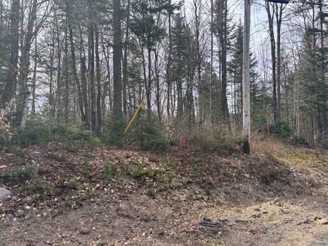 Lot - Ch. De La Pointe, Lantier, QC