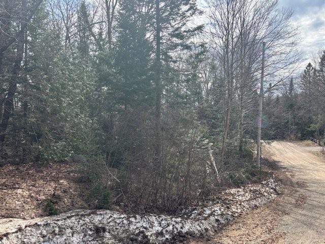 Street - Ch. De La Pointe, Lantier, QC