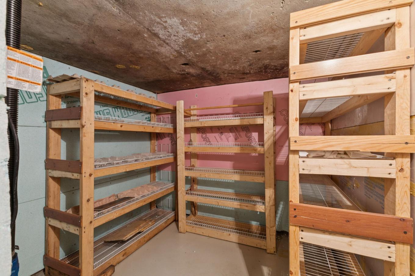 Cave/Chambre froide - 511Z Rg St-Louis, Saint-André-Avellin, QC