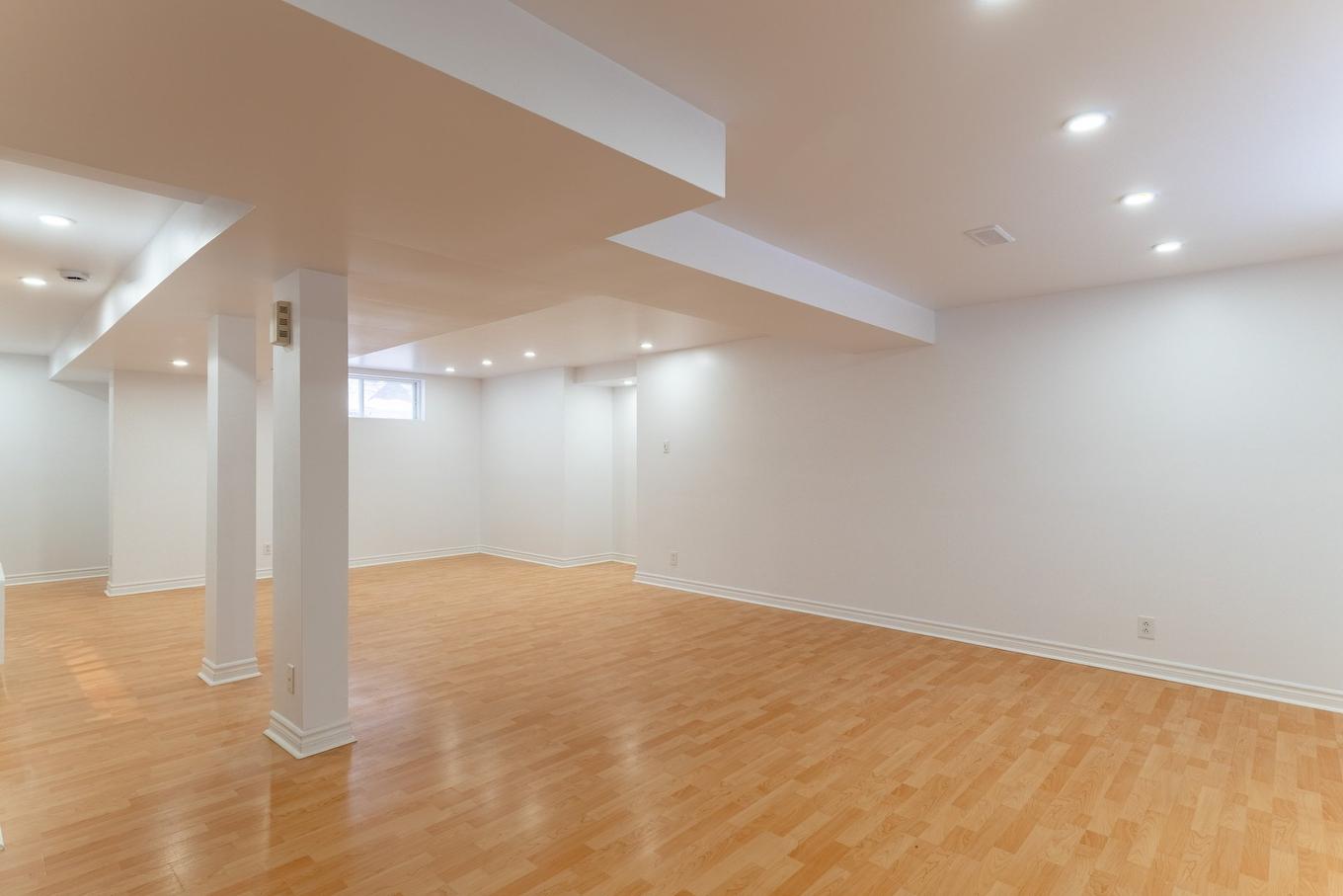 Basement - 6263 Rue Des Mimosas, Longueuil (Saint-Hubert), QC - Indoor