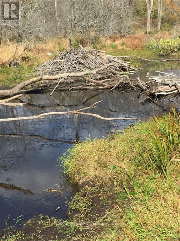 2707 Narrows Lock Road, Tay Valley, ON