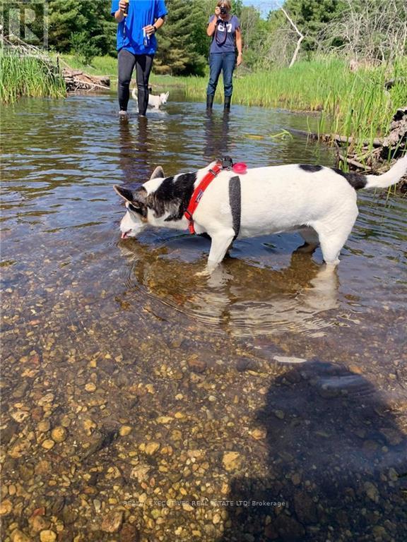 2707 Narrows Lock Road, Tay Valley, ON