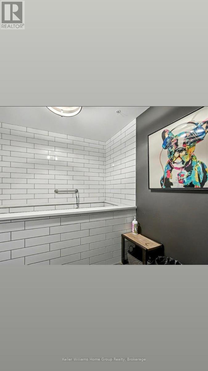 Dog wash station - 205 - 63 Arthur Street S, Guelph (St. Patrick'S Ward), ON - Indoor Photo Showing Other Room