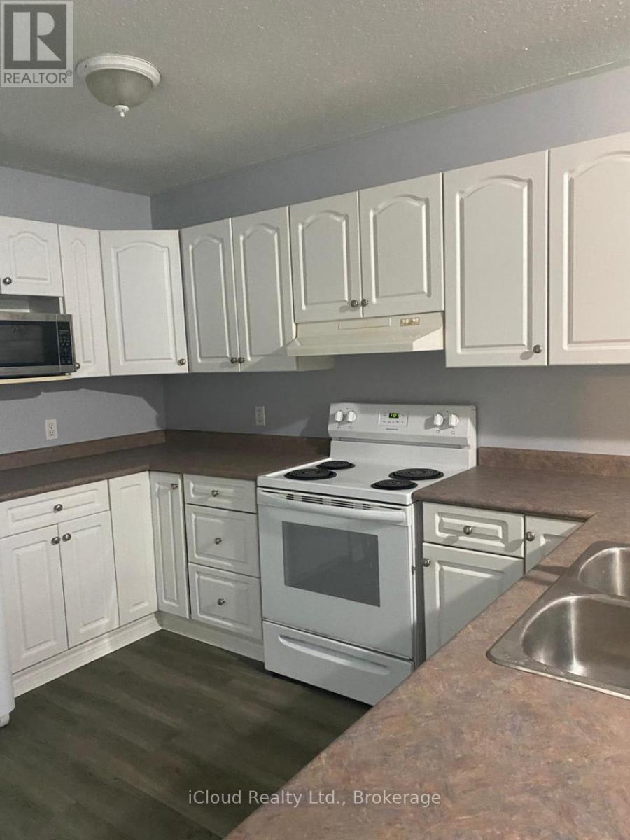 122 Marlborough Street, Brantford, ON - Indoor Photo Showing Kitchen With Double Sink