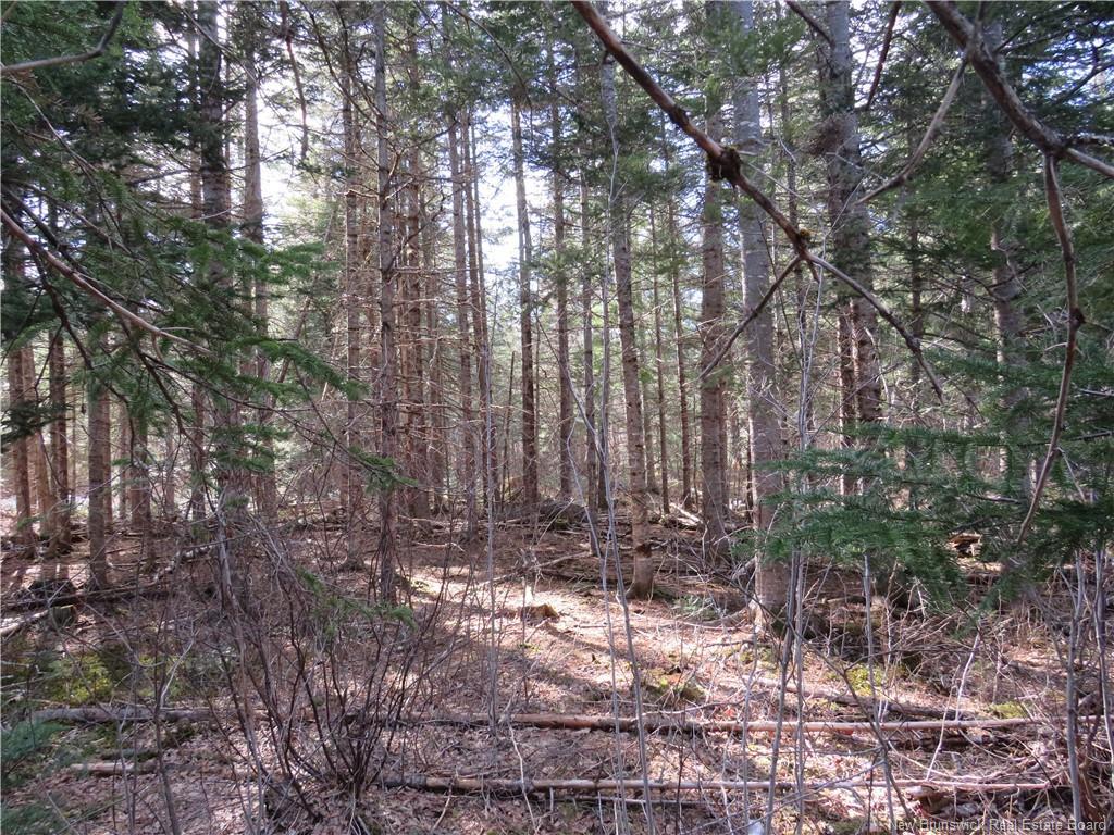 - South Oromocto Lake Rd, South Oromocto Lake, NB