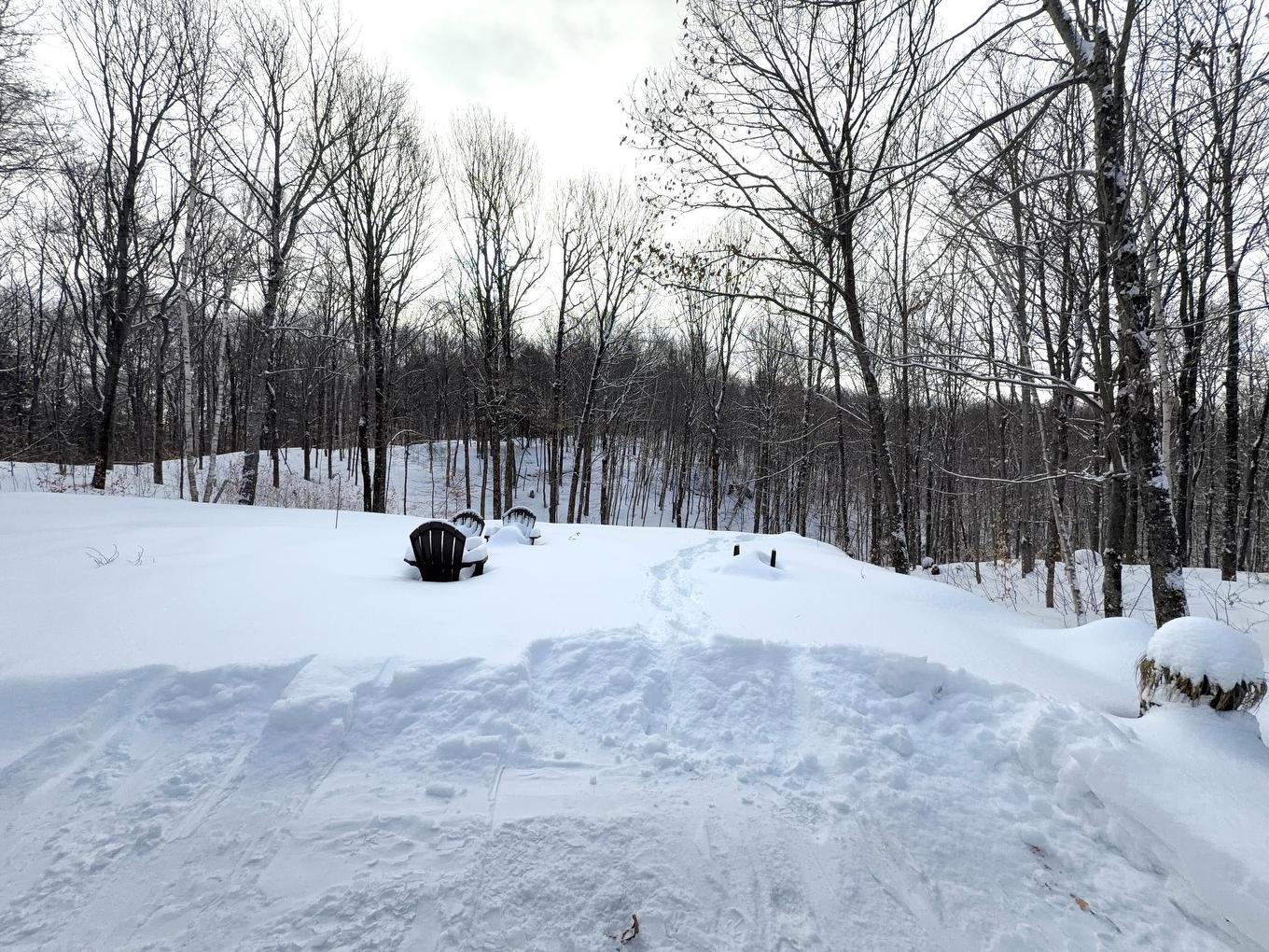 Backyard - 48 Rue De München, Brownsburg-Chatham, QC - Outdoor With View