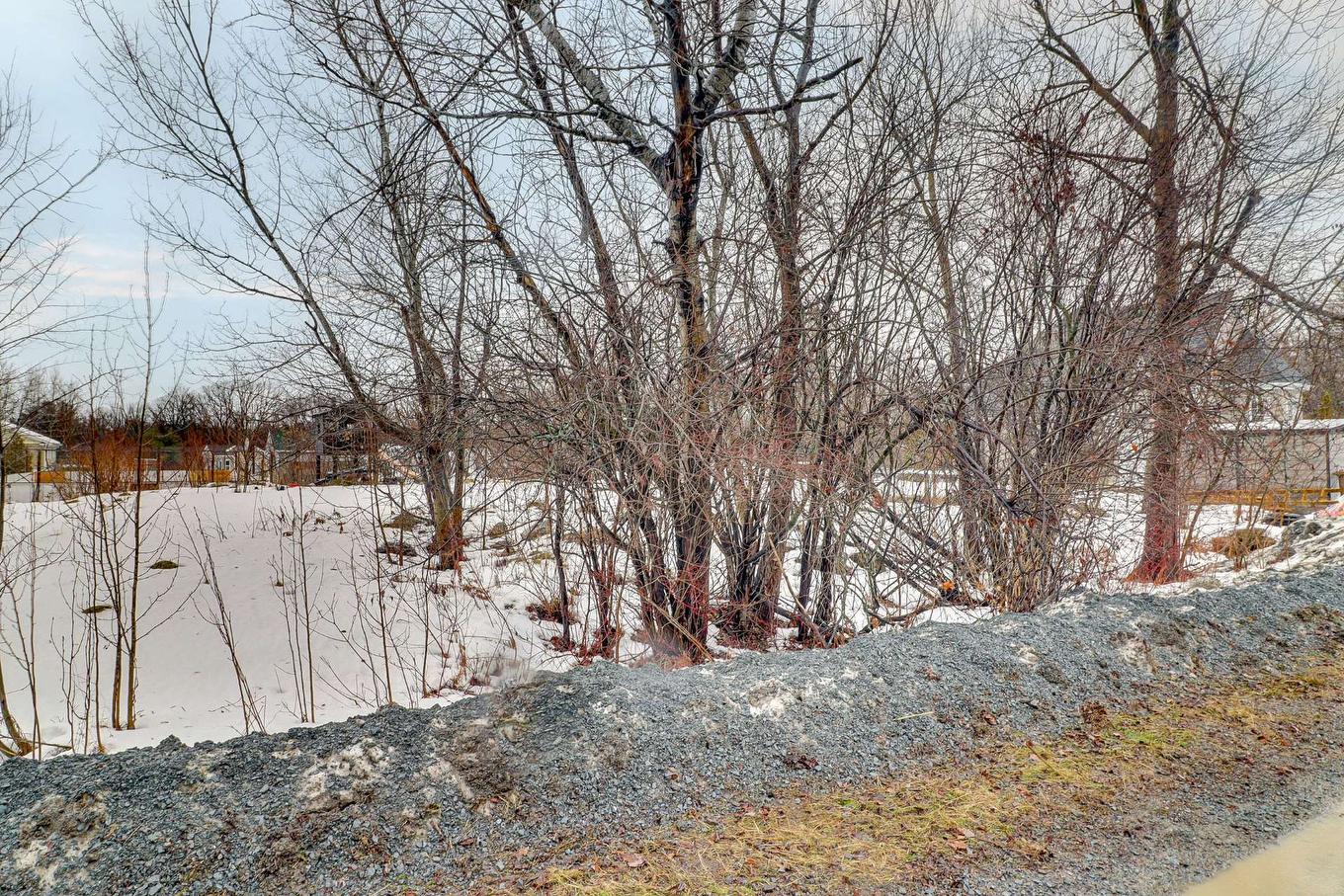 Cour - 875 Rue Des Tilleuls, Mascouche, QC - Outdoor With View