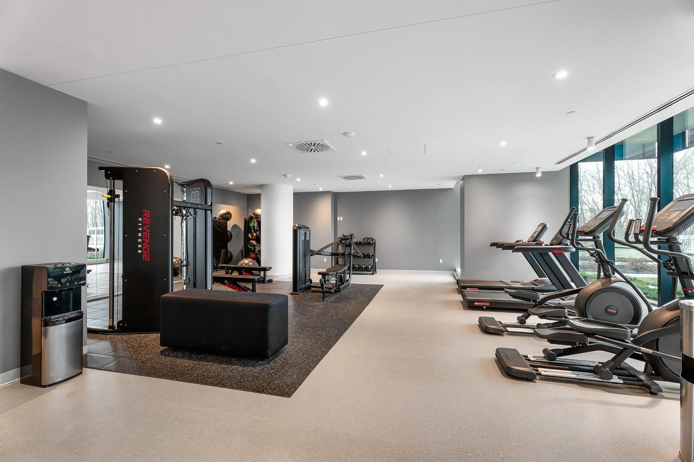 Exercise room - 708-900 Rue André-Prévost, Montréal (Verdun/Île-Des-Soeurs), QC - Indoor Photo Showing Gym Room