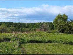 95.4 Acres Route 340 Canobie, NB E2A 5G7