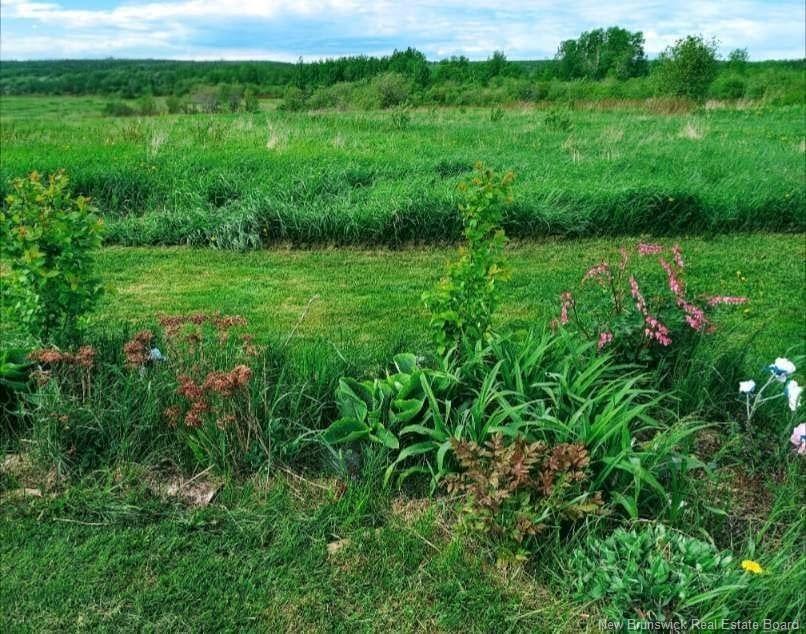 95.4 Acres Route 340, Canobie, NB