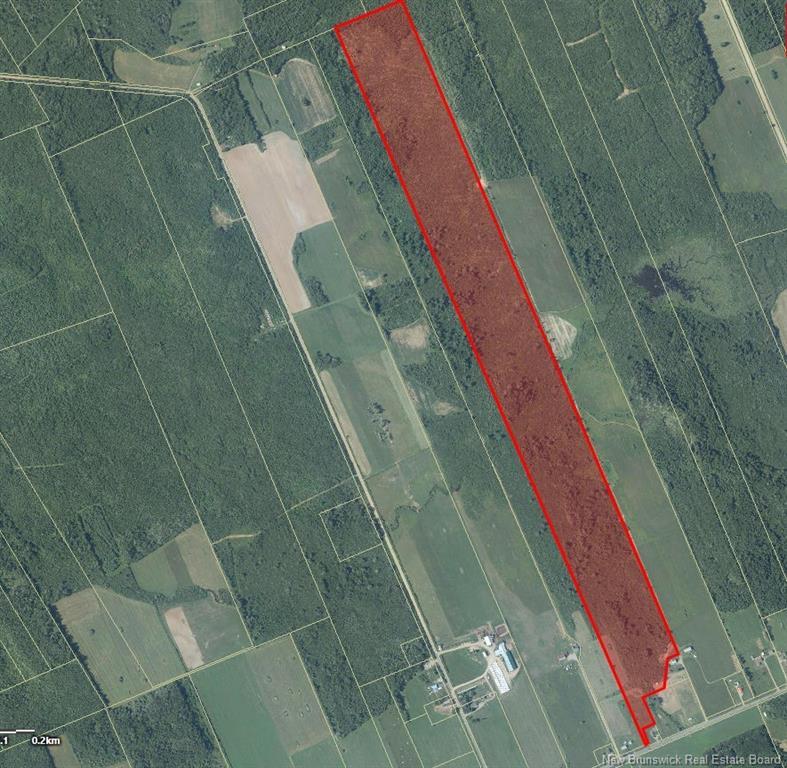 95.4 Acres Route 340, Canobie, NB
