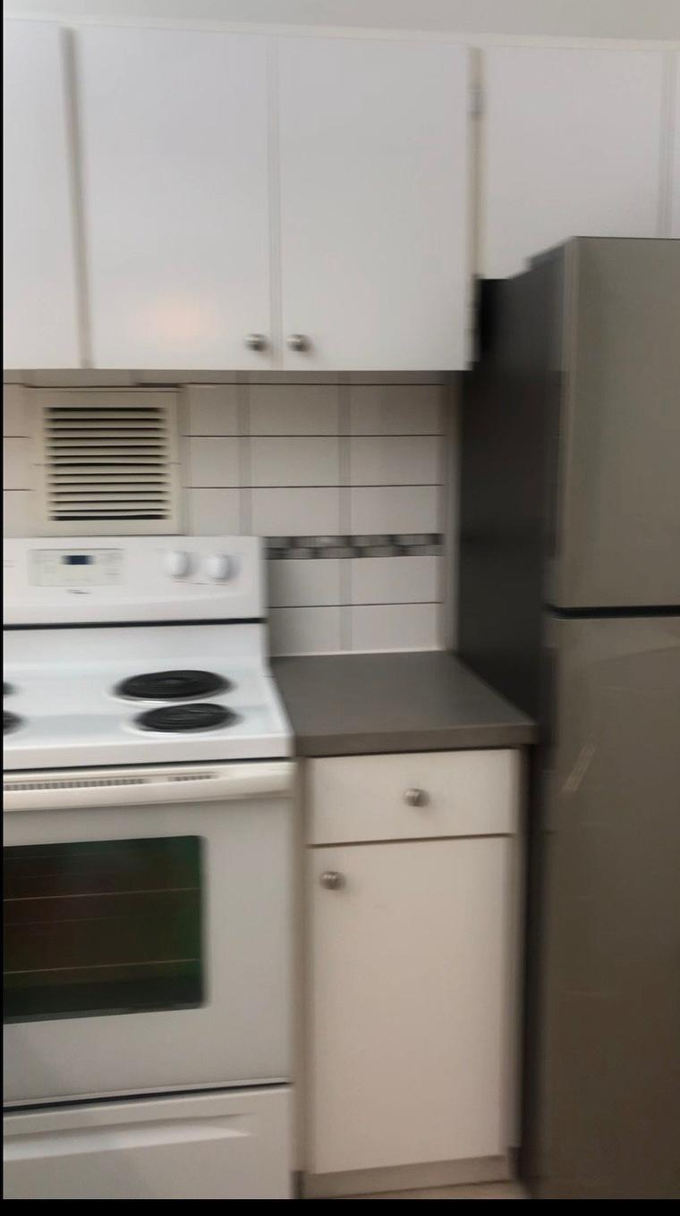 Kitchen - 101-200 Rue Corot, Montréal (Verdun/Île-Des-Soeurs), QC - Indoor Photo Showing Kitchen