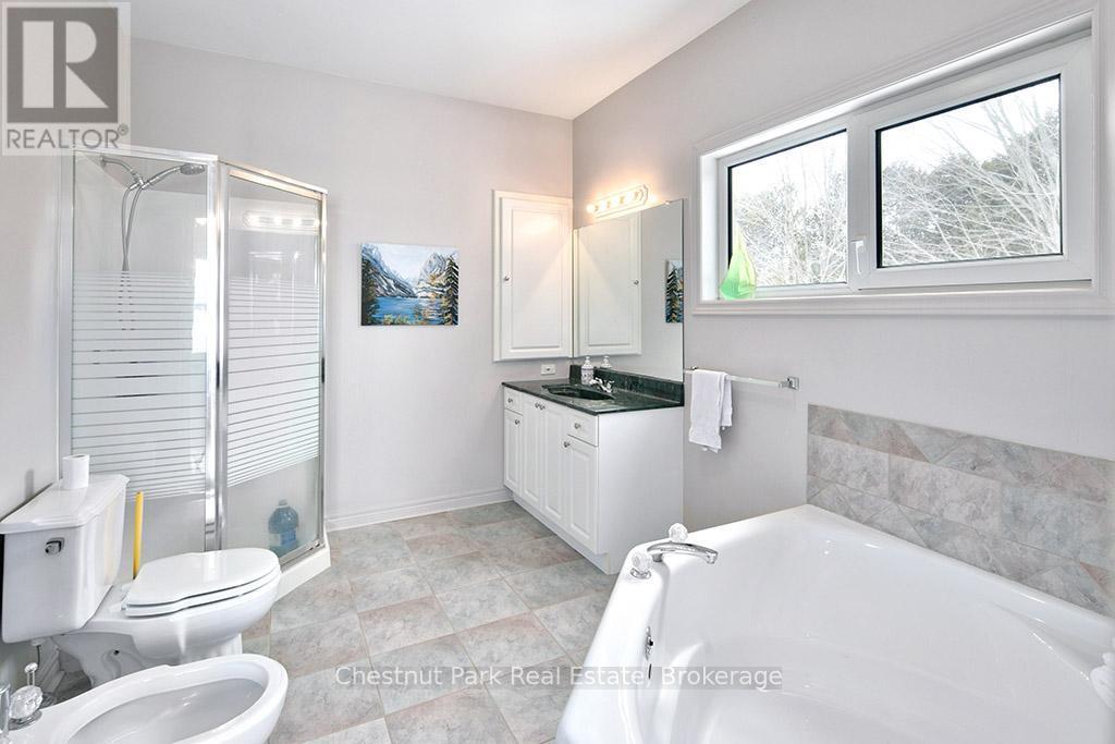 189 Point Road, Grey Highlands, ON - Indoor Photo Showing Bathroom