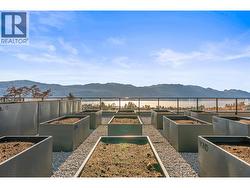 Community Gardens -