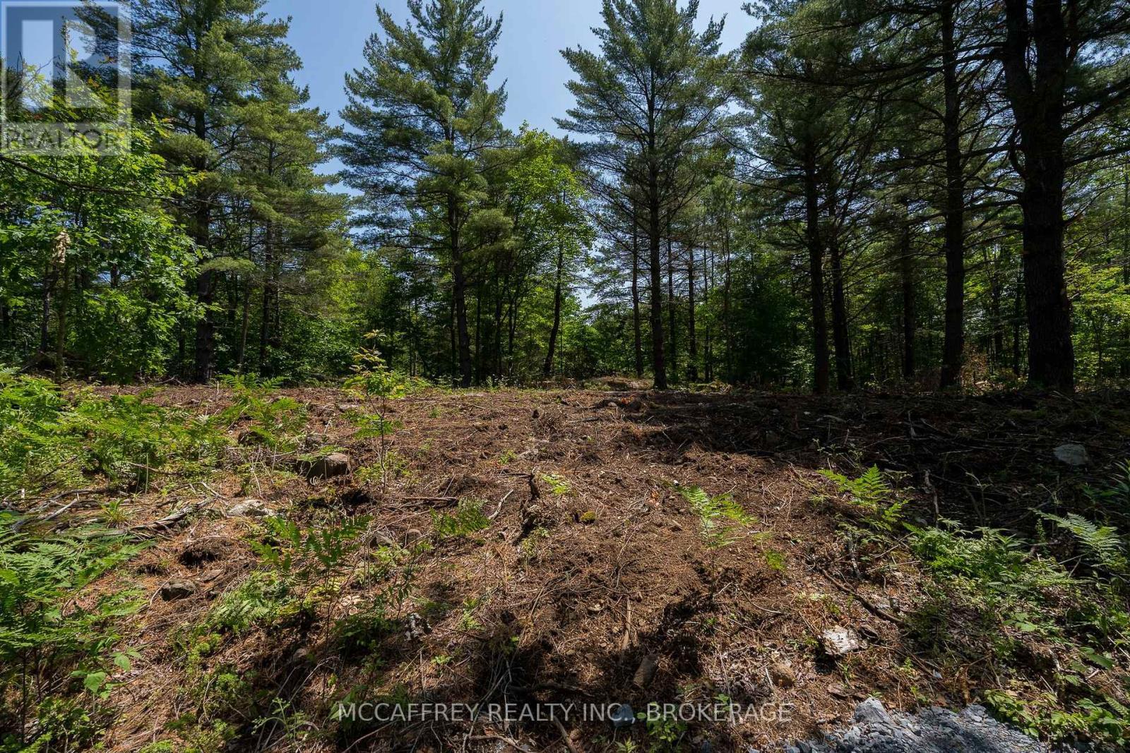 9804 Highway 38, Frontenac (Frontenac Centre), ON