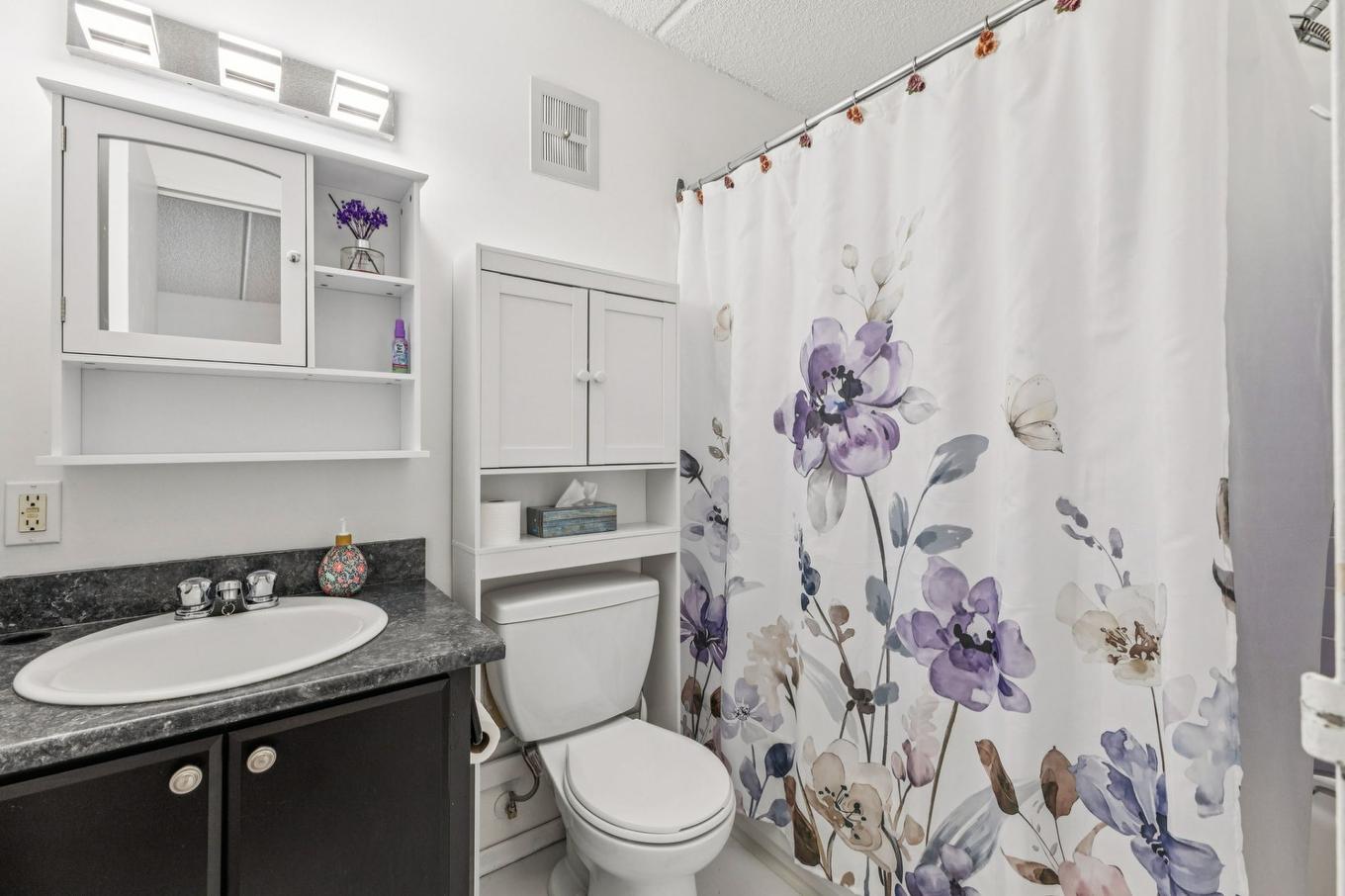 Salle de bains - 407-450 Boul. Wilfrid-Lavigne, Gatineau (Aylmer), QC - Indoor Photo Showing Bathroom