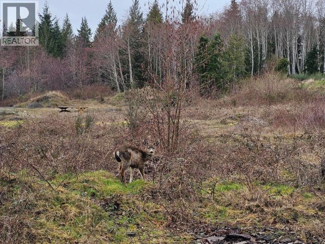 Lot 0 Fernwood Ave, Powell River, BC