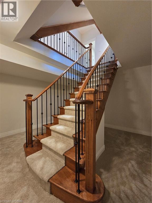 Stairs featuring carpet flooring - 93 Tremaine Drive, Kitchener, ON - Indoor Photo Showing Other Room