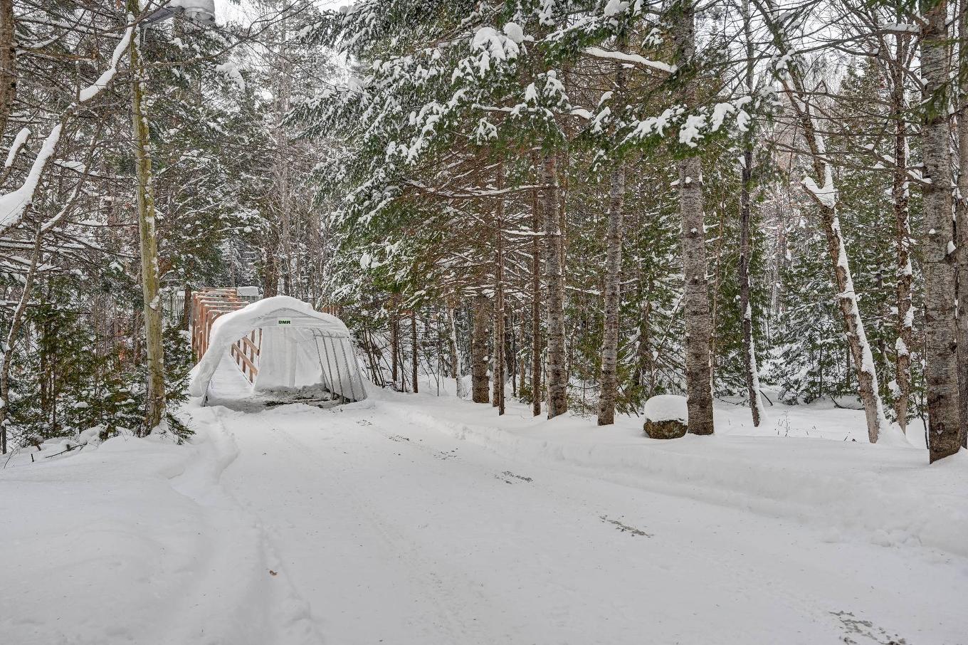 Parking - 3770 Mtée D'Argenteuil, Saint-Adolphe-D'Howard, QC - Outdoor